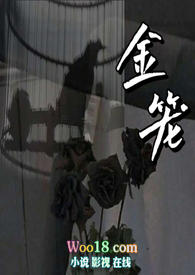 金笼快餐价格表